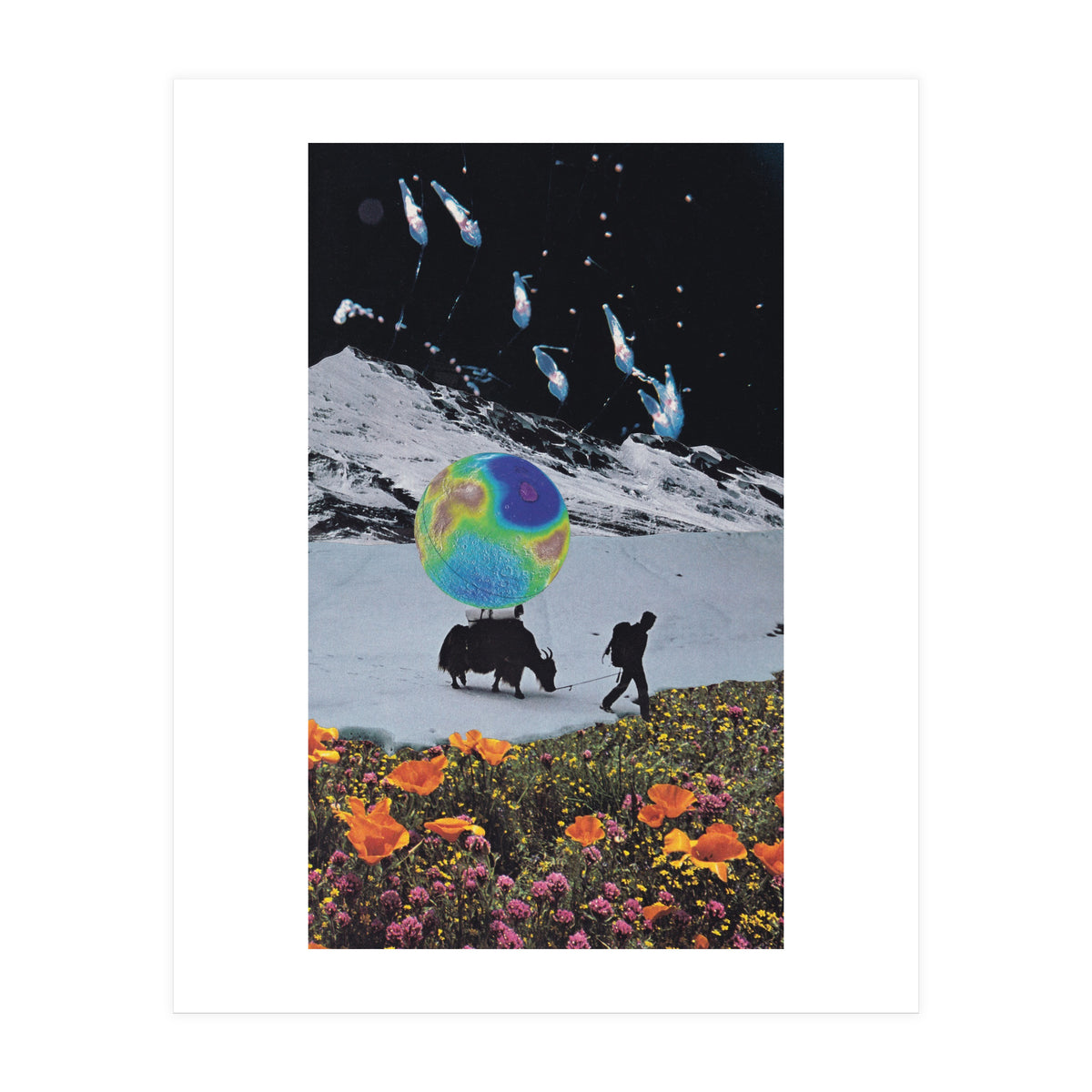 The Last Ice Age (Print Only)
