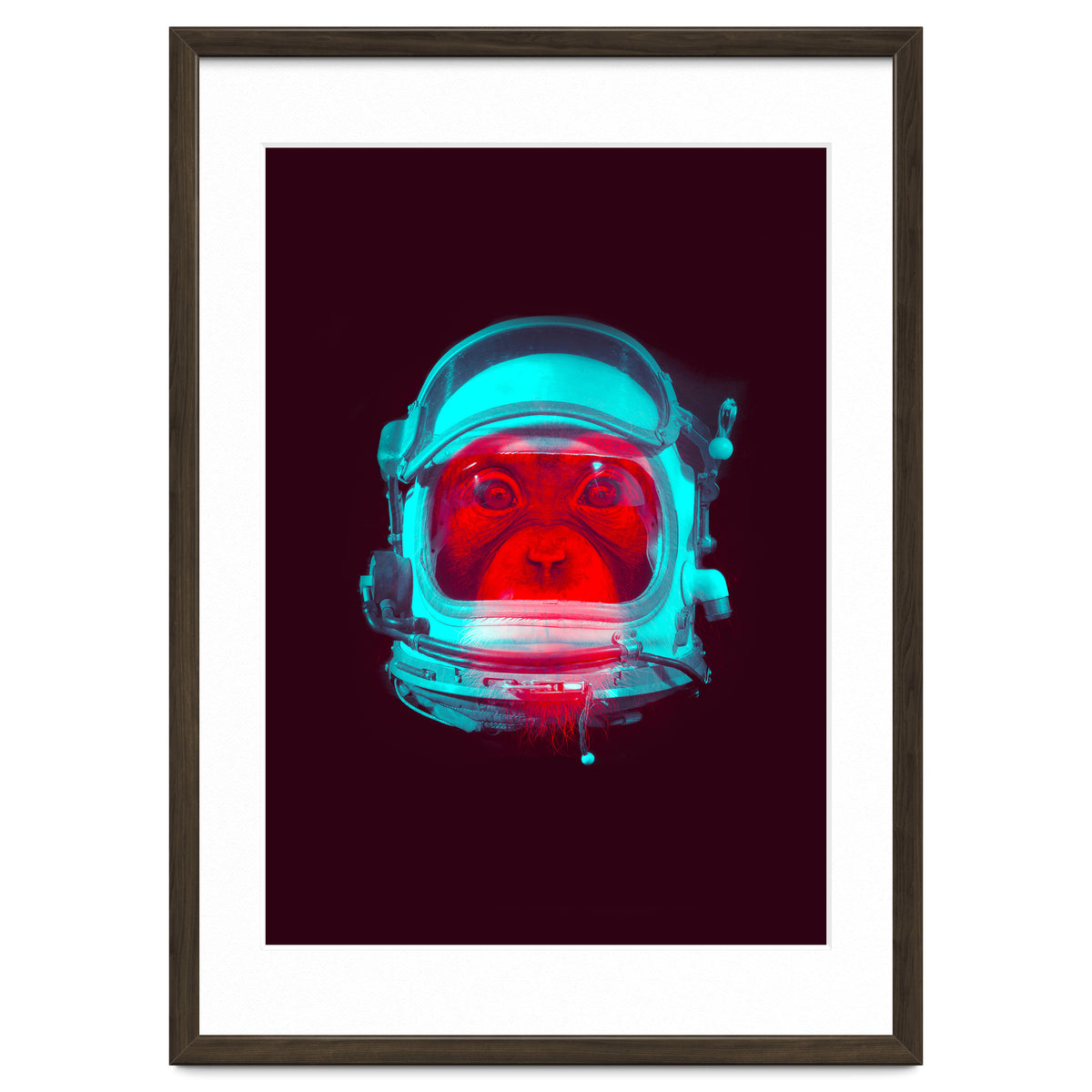 Astronaut