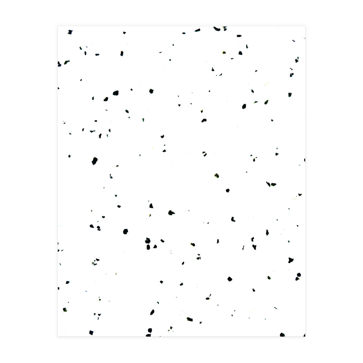 Choco Chip & Vanilla (Print Only)