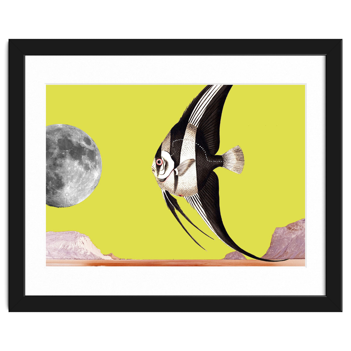 Plenty of fish in the sea yellow