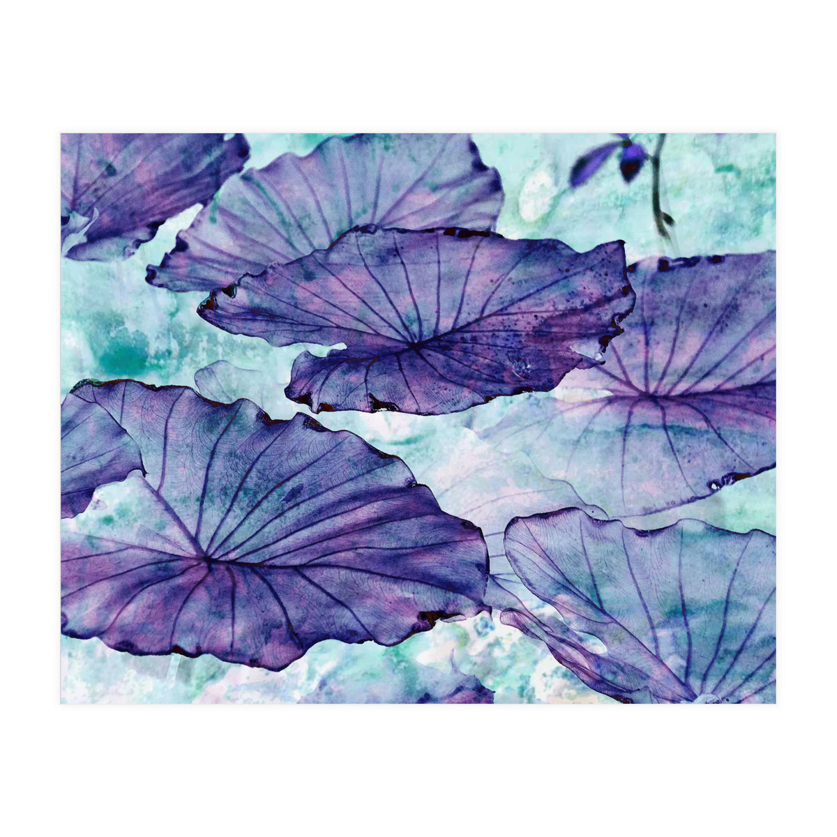 Botanical Surrealism (Print Only)