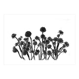 cactus succulents (Print Only) thumbnail