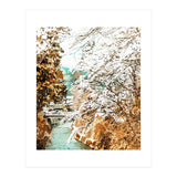 Japan (Print Only) thumbnail