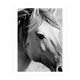 27 (Print Only) thumbnail