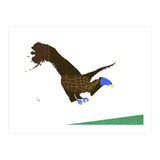 American Bald Eagle (Print Only) thumbnail