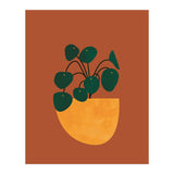 Boho Houseplant (Print Only) thumbnail