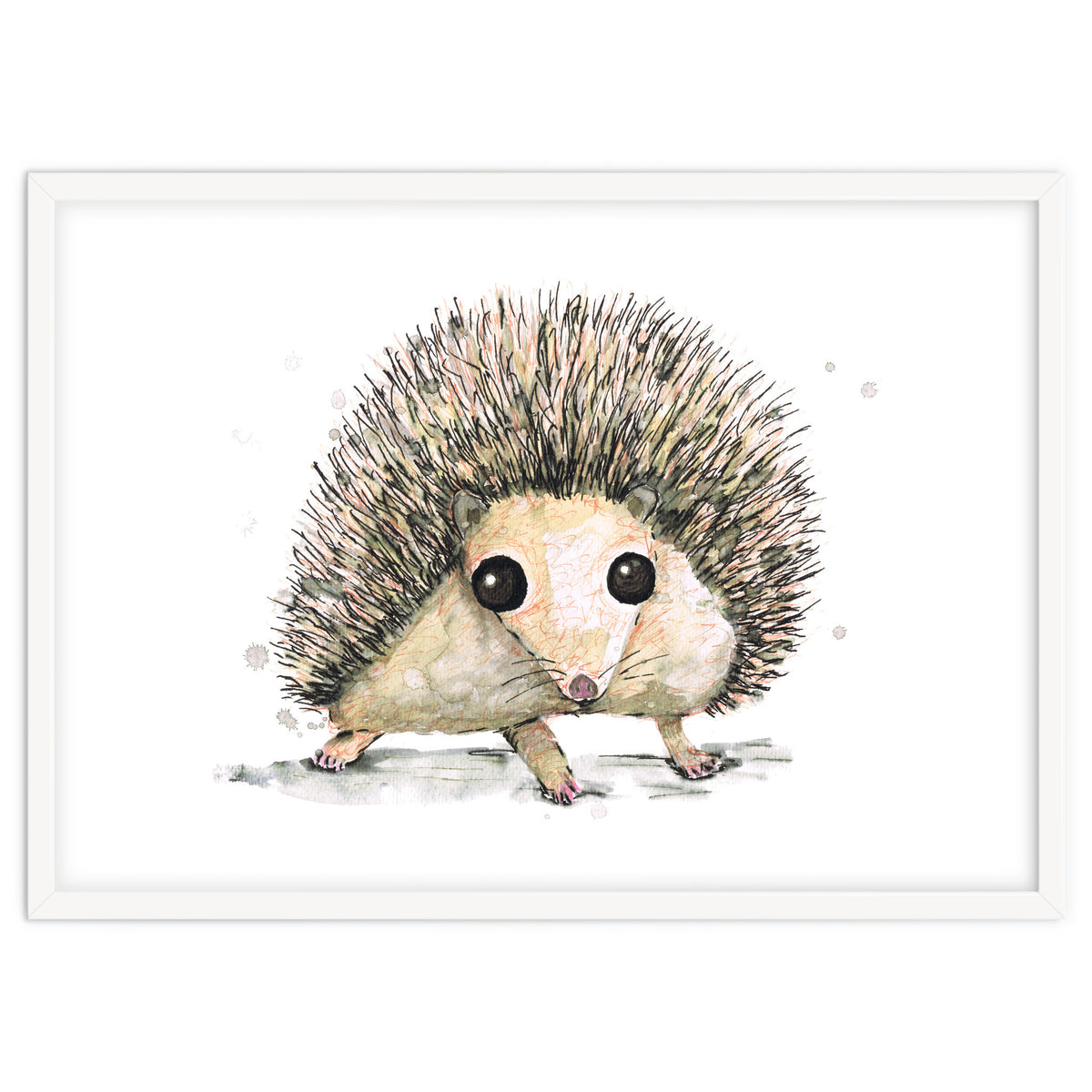 Hedgehog