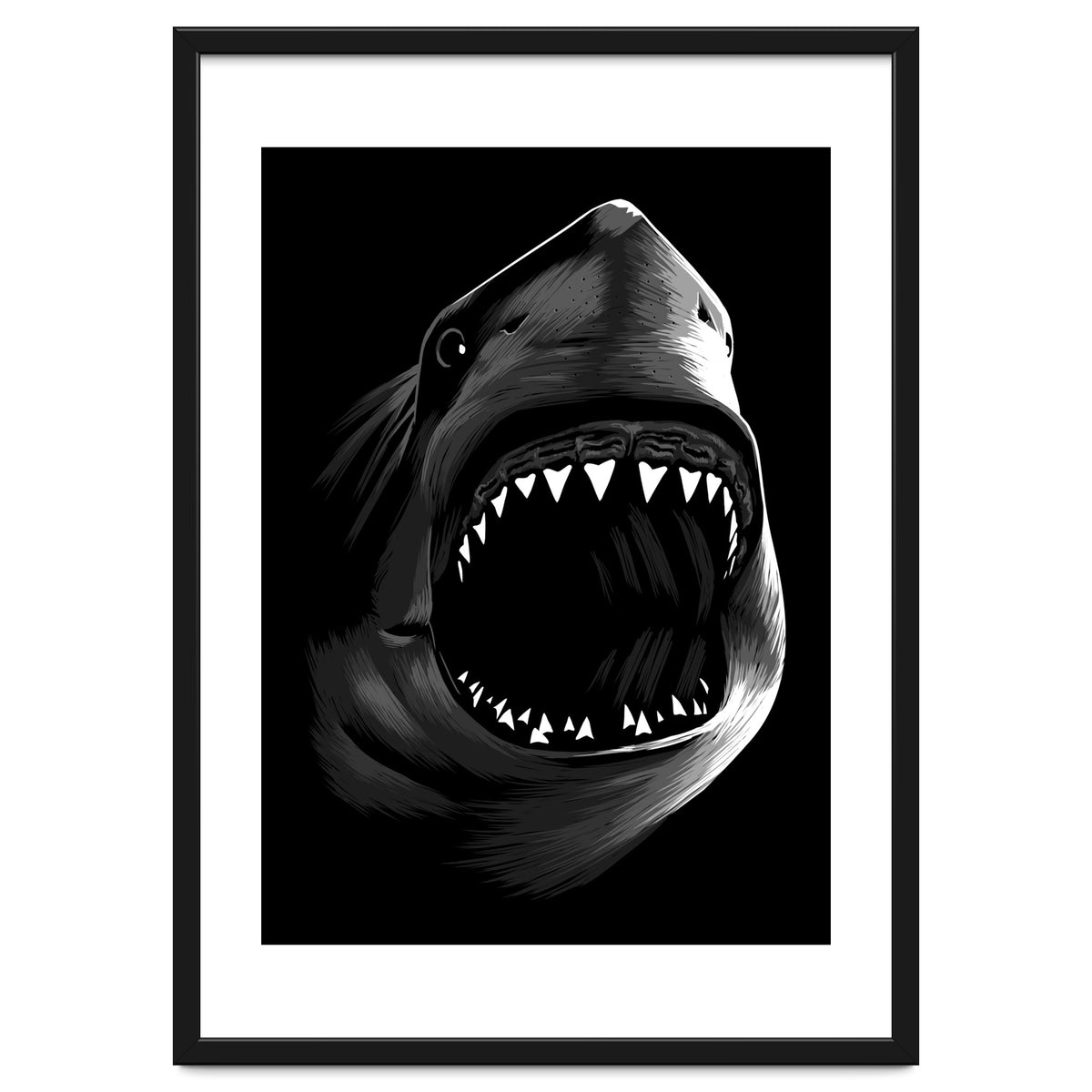 Megalodon