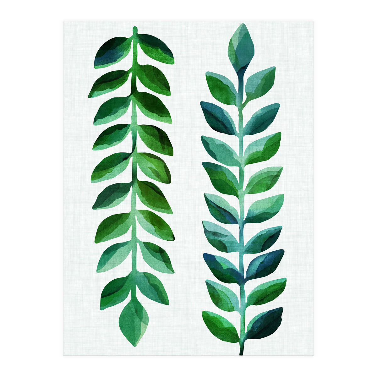 Hawaiian Vines (Print Only)