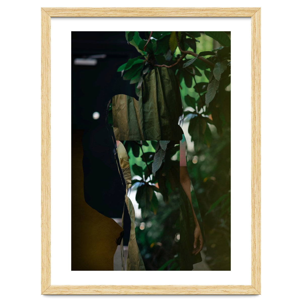 Disappeared Dreams 5