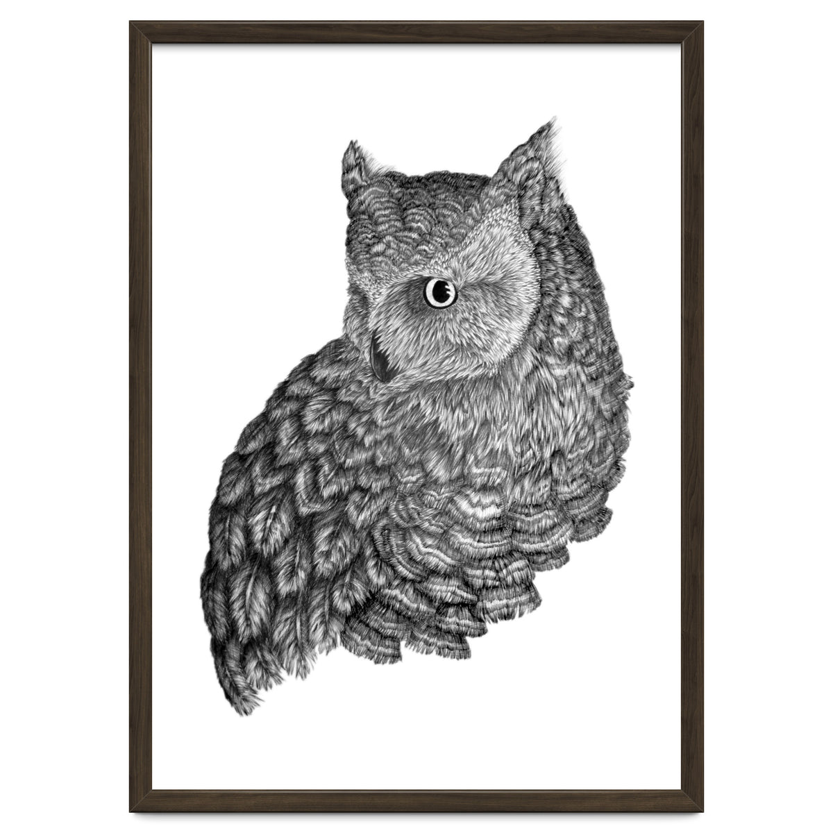 A Friend For Forsythe