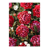 Blossom Love (Print Only) thumbnail