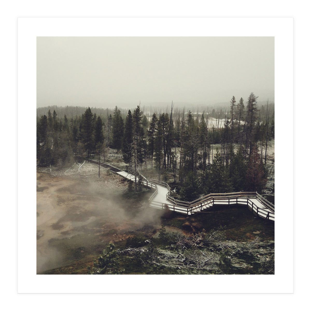 Artists Paint Pots (Print Only)