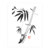 Bamboos 06 (Print Only) thumbnail
