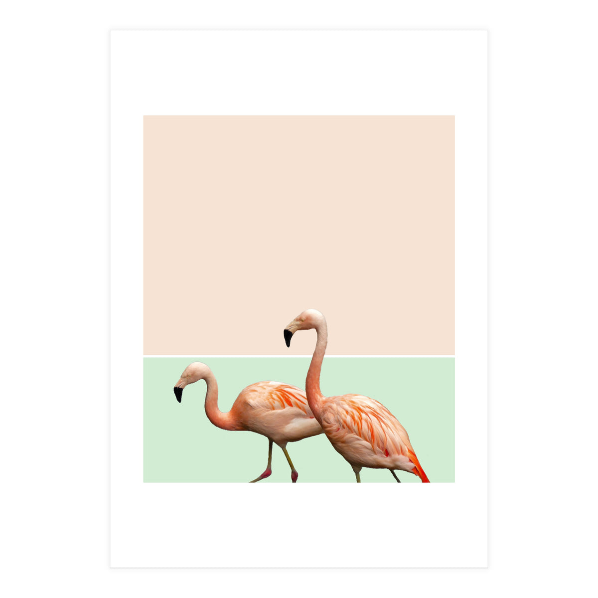 Flamingo Pastel Art (Print Only)