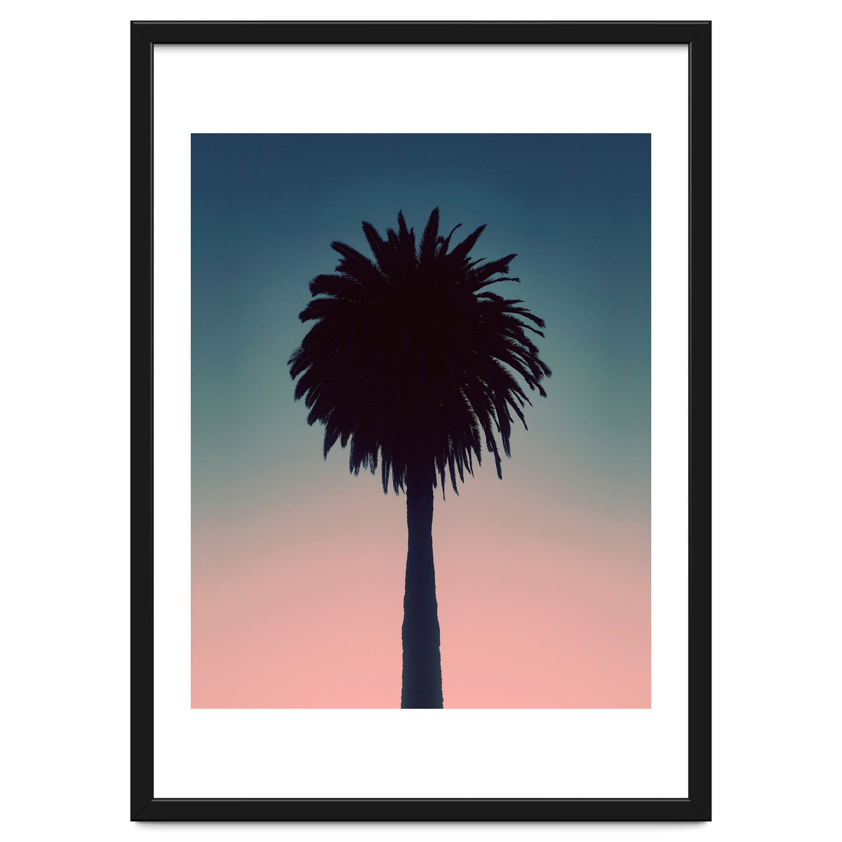 Sundown Palm