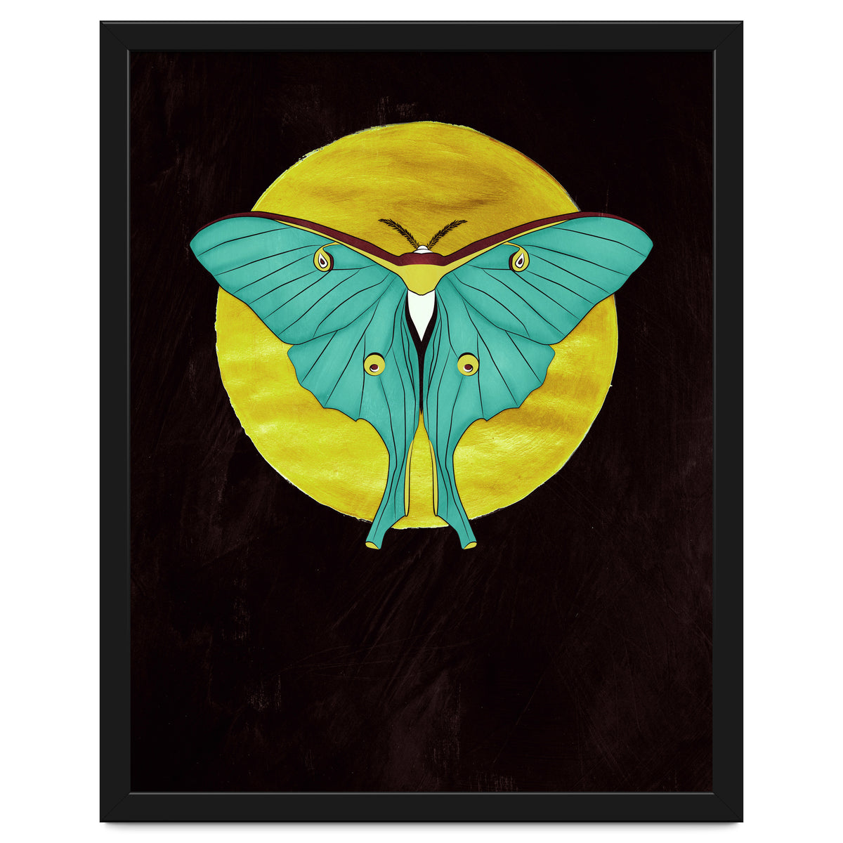 Luna Moth Moon