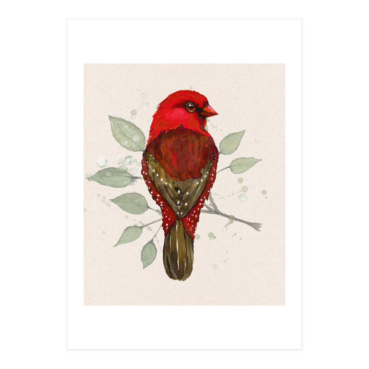 Red avadavat watercolor (Print Only)