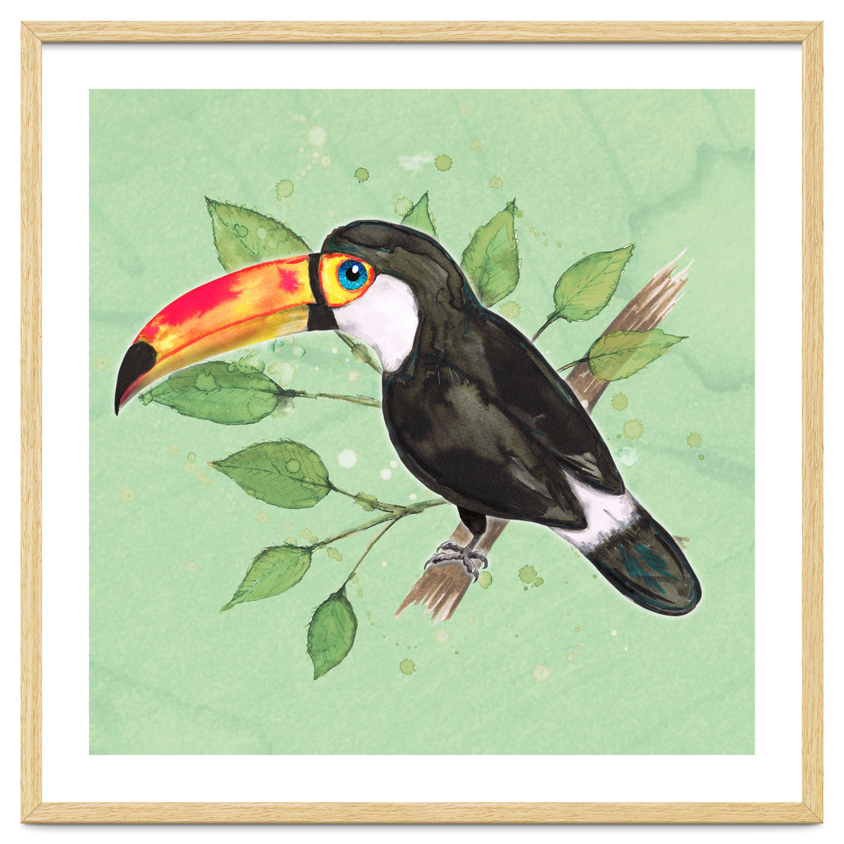 Toco toucan