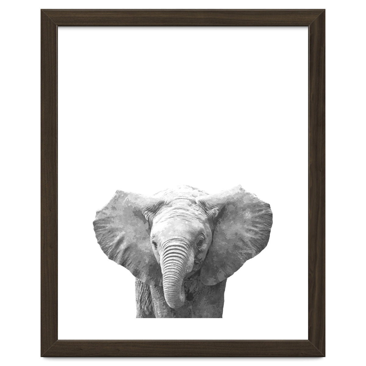 Black and White Baby Elephant
