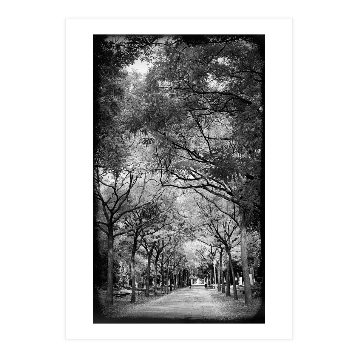 Cemetery alley (Print Only)