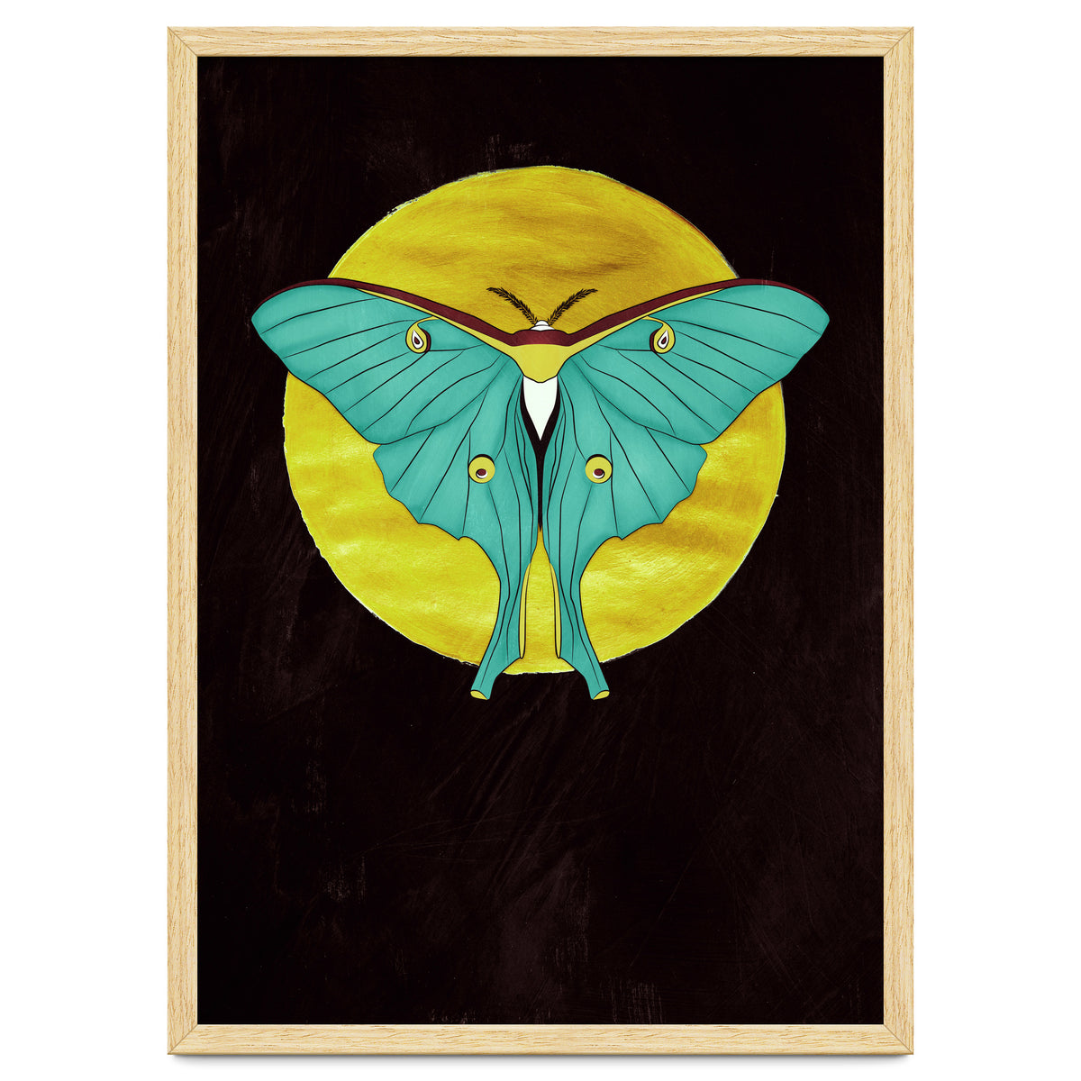 Luna Moth Moon