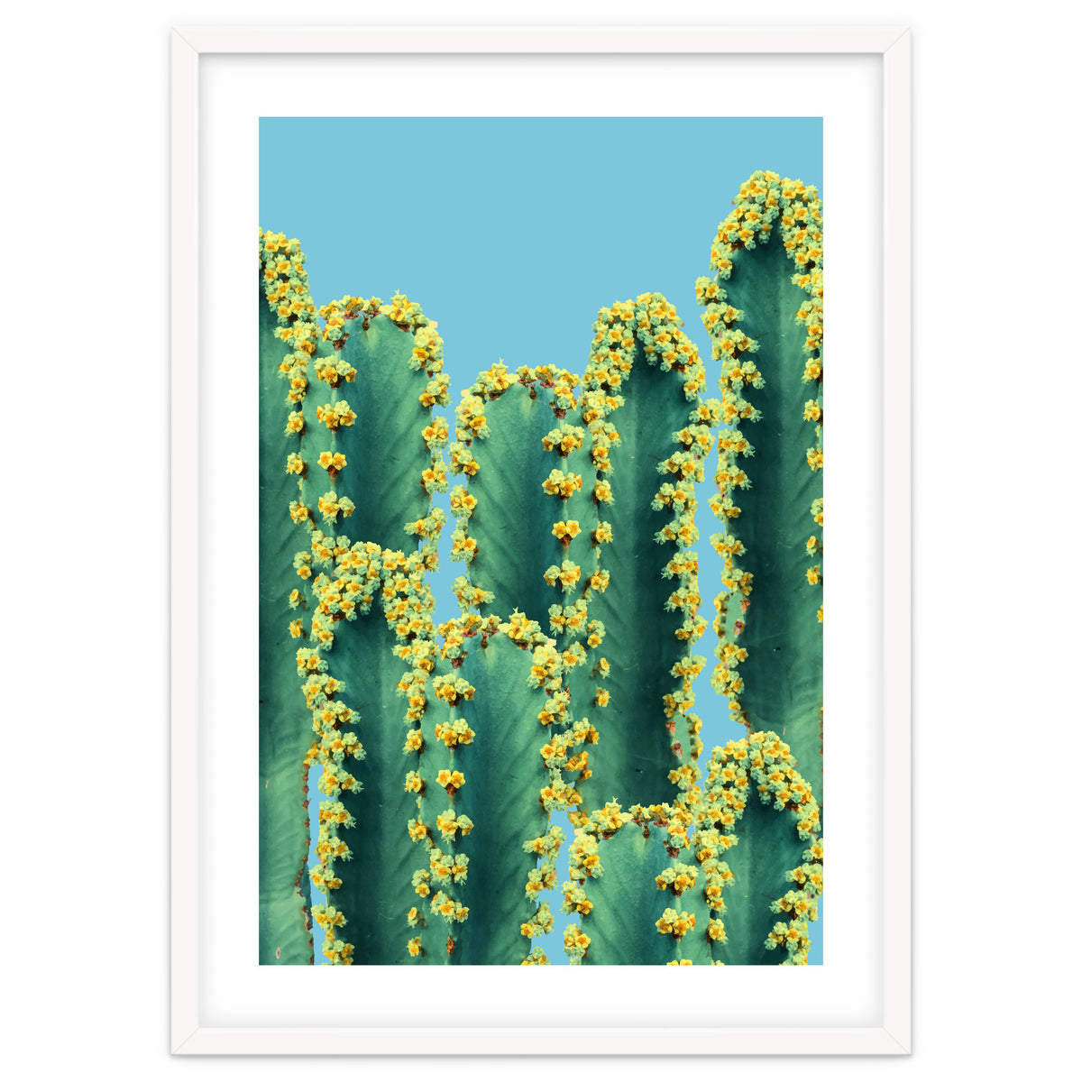 Adorned Cactus V2