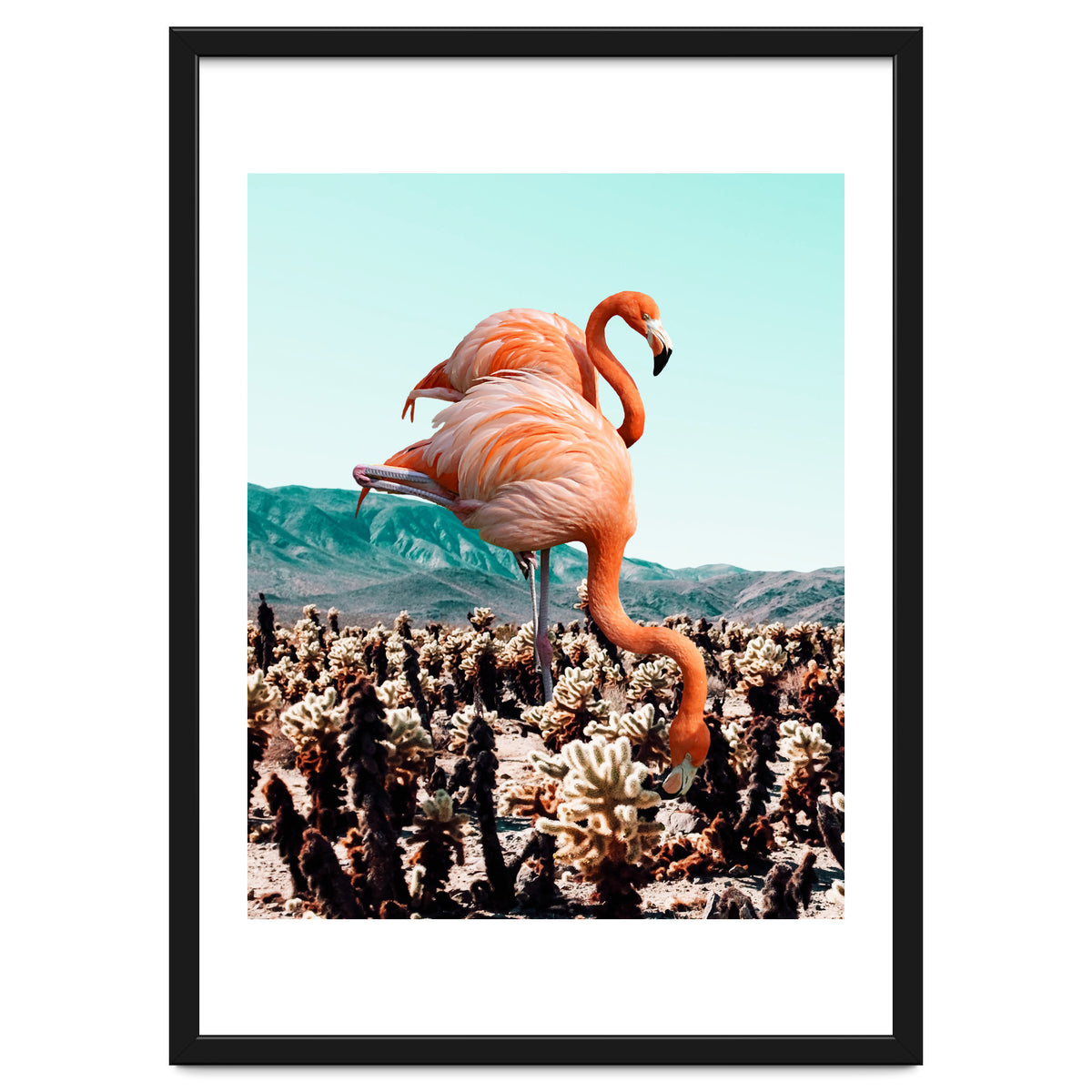 Flamingos In The Desert