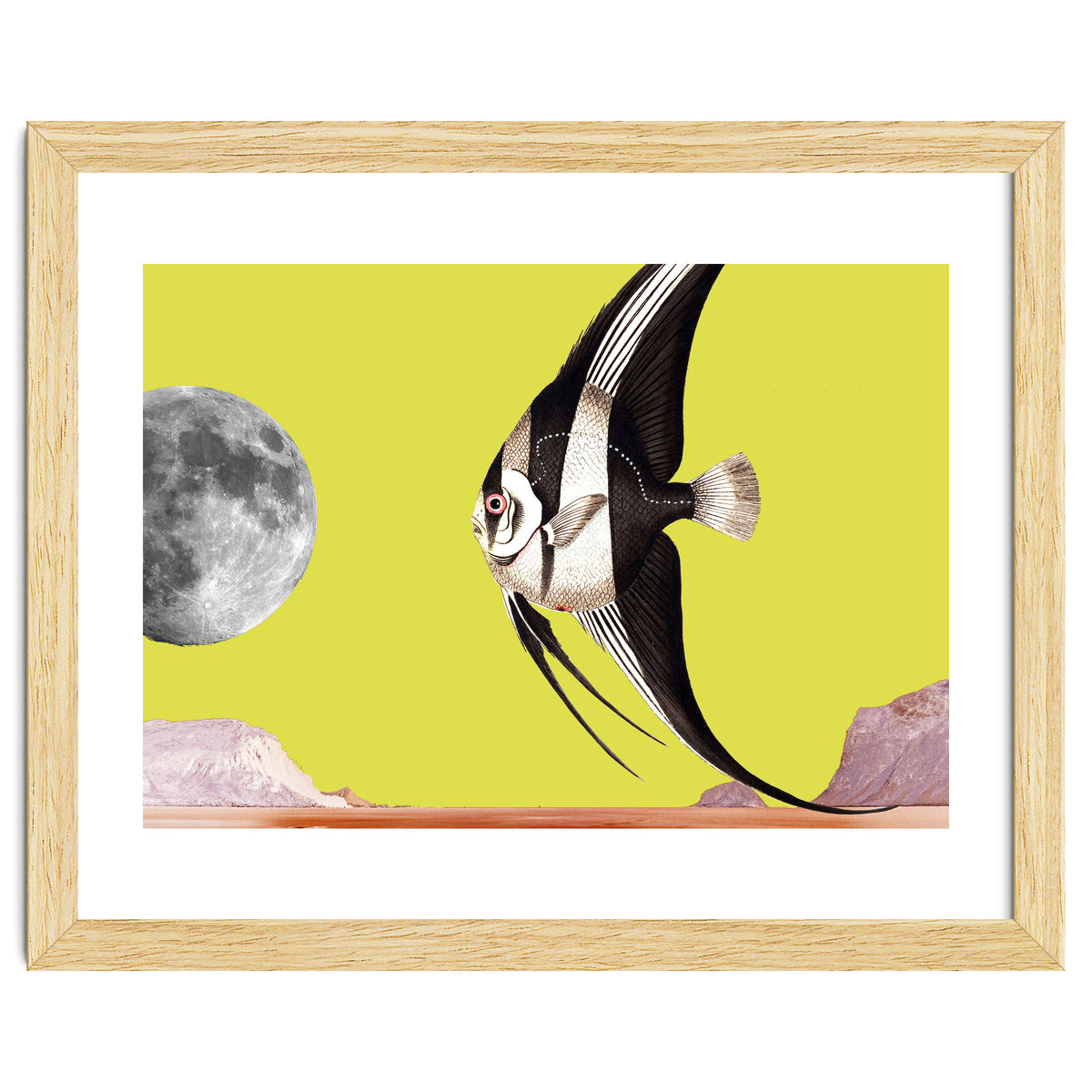 Plenty of fish in the sea yellow