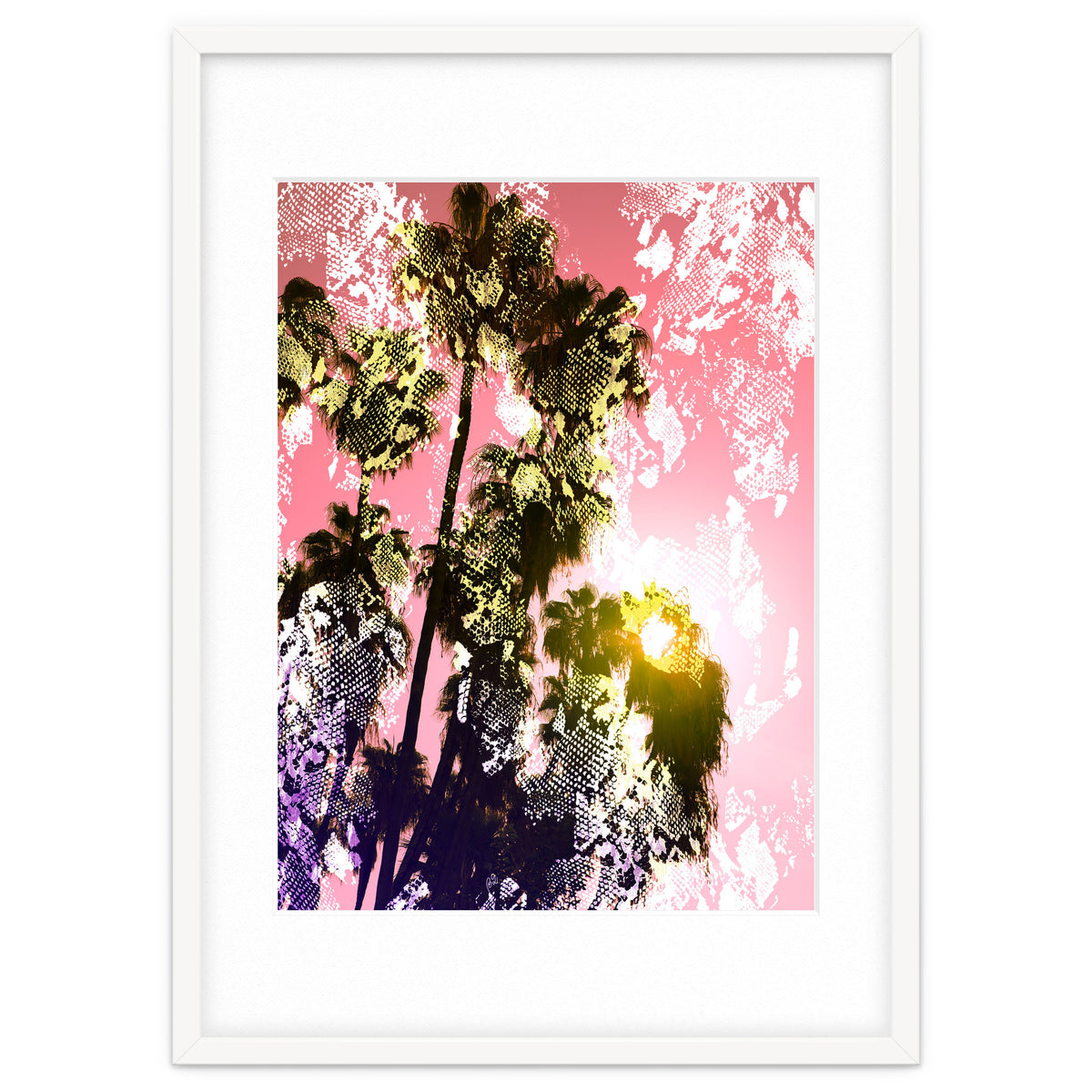 Snake sunset in paradise