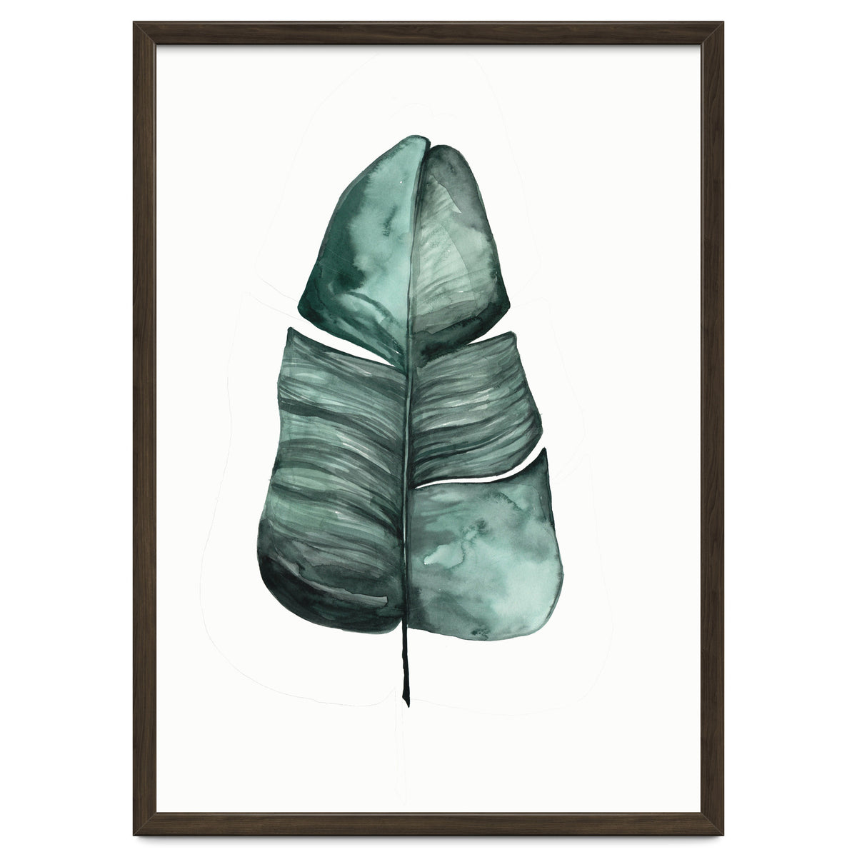 Botanical Illustration Banana Leaf