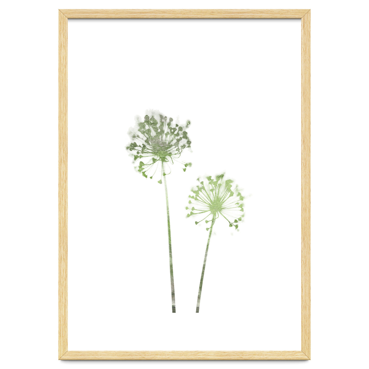 Olive Green Dandelion