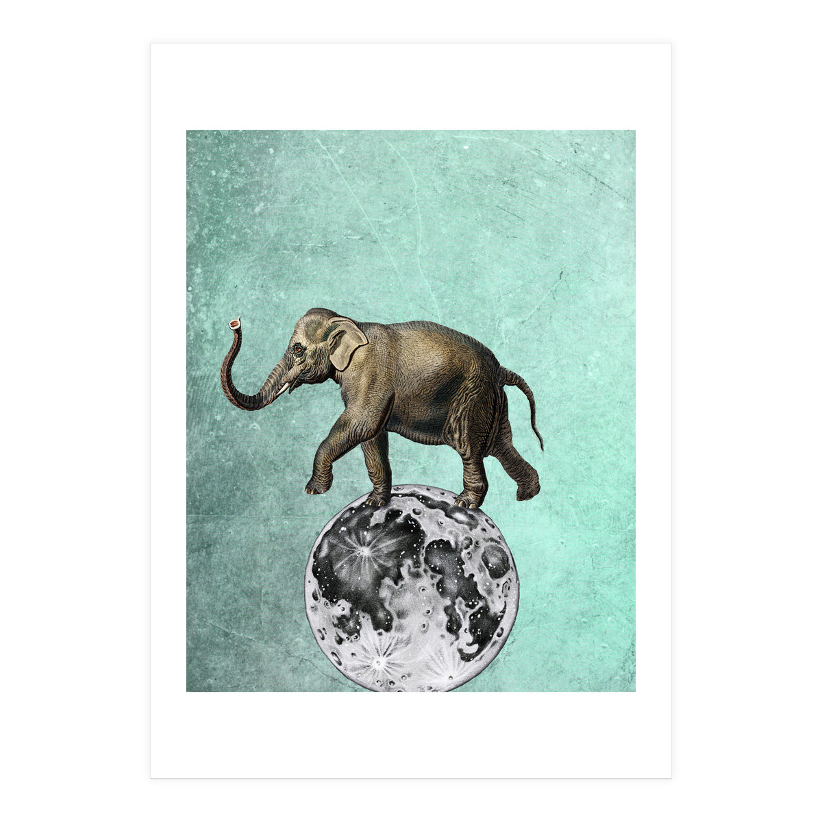 elefante sul modo (Print Only)
