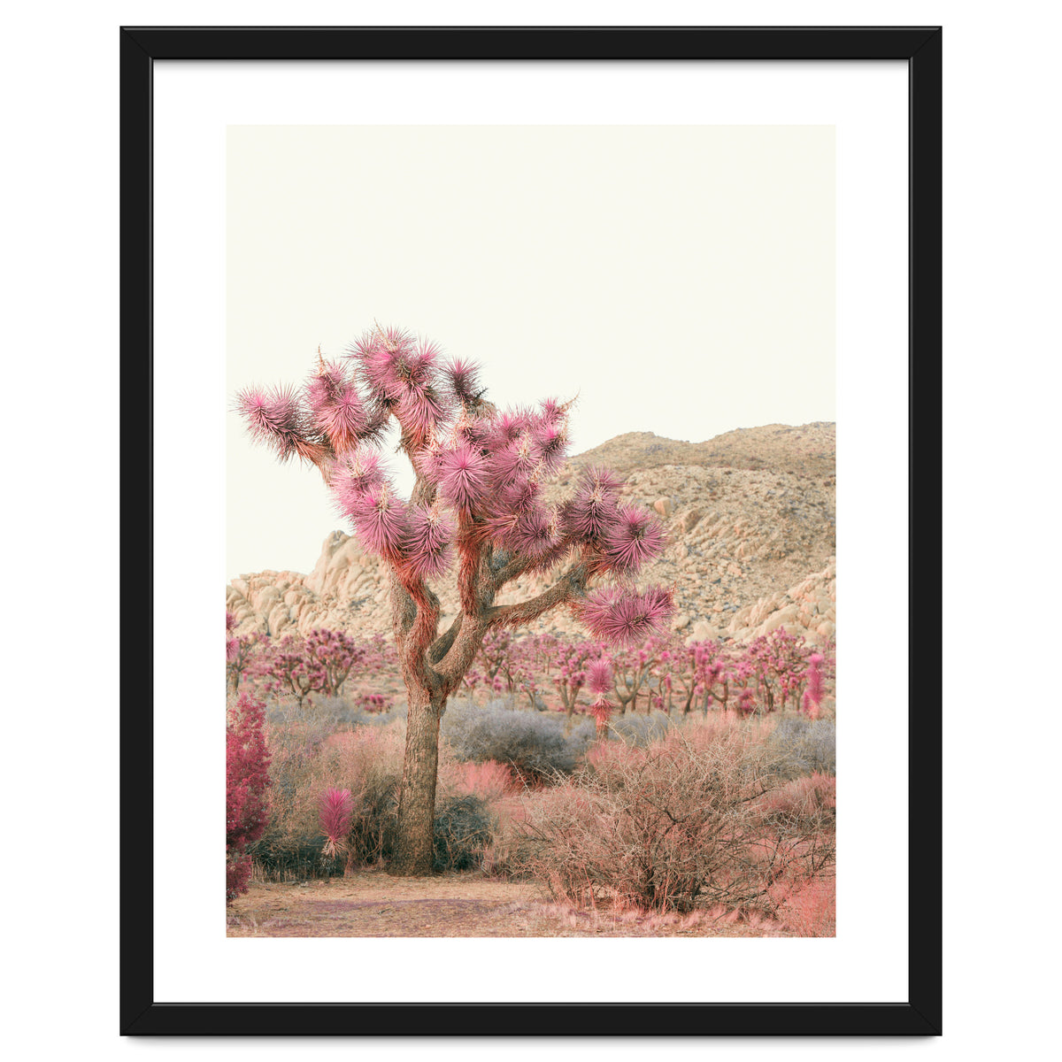 Boho Joshua Tree Cactus