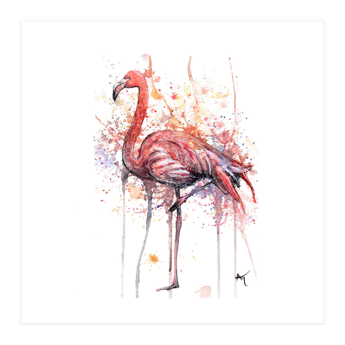 Flamingo - Wildlife Collection (Print Only)