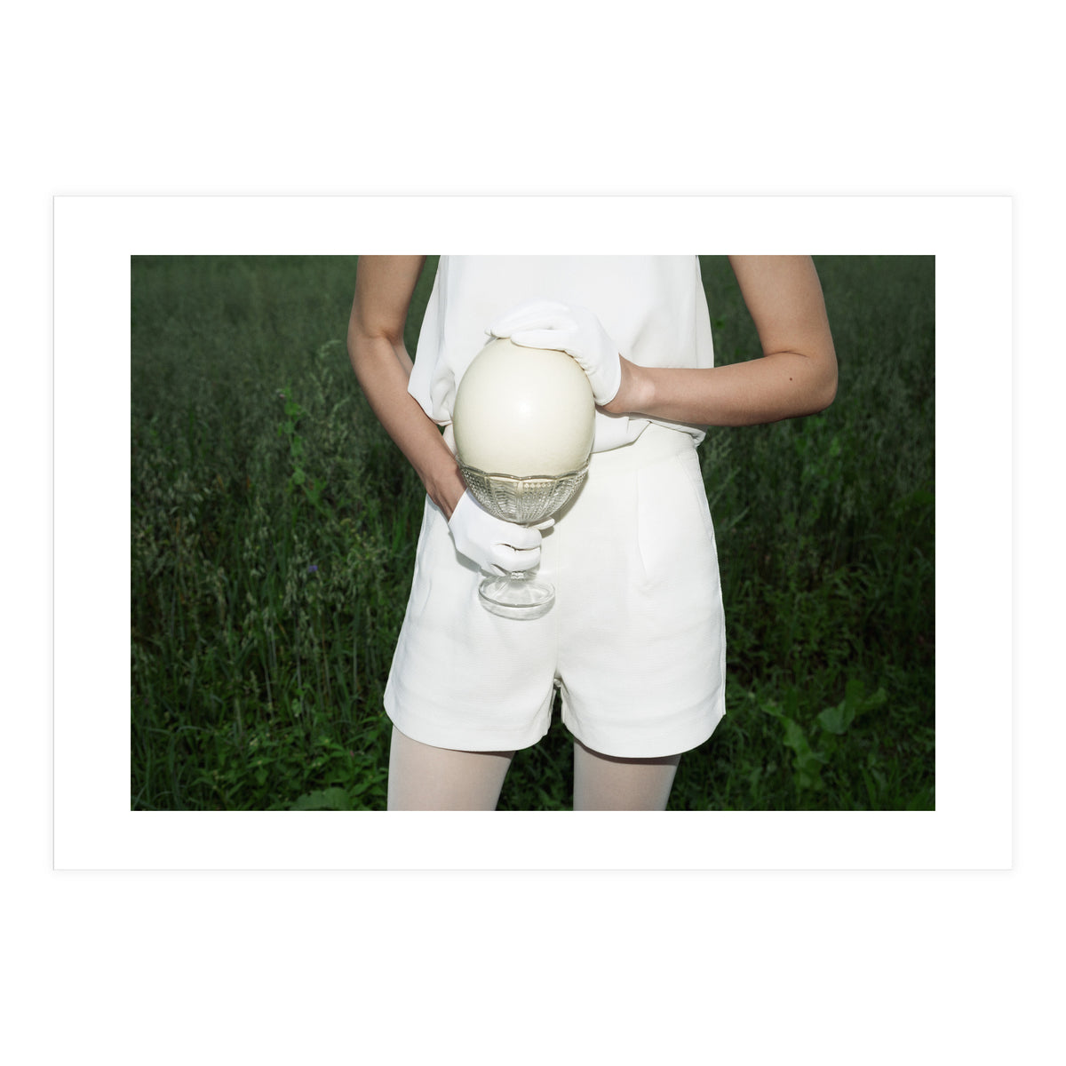 Dinosaur Inside (Print Only)