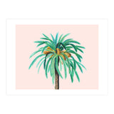 Coconut Island (Print Only) thumbnail