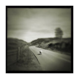Gesto (Print Only) thumbnail