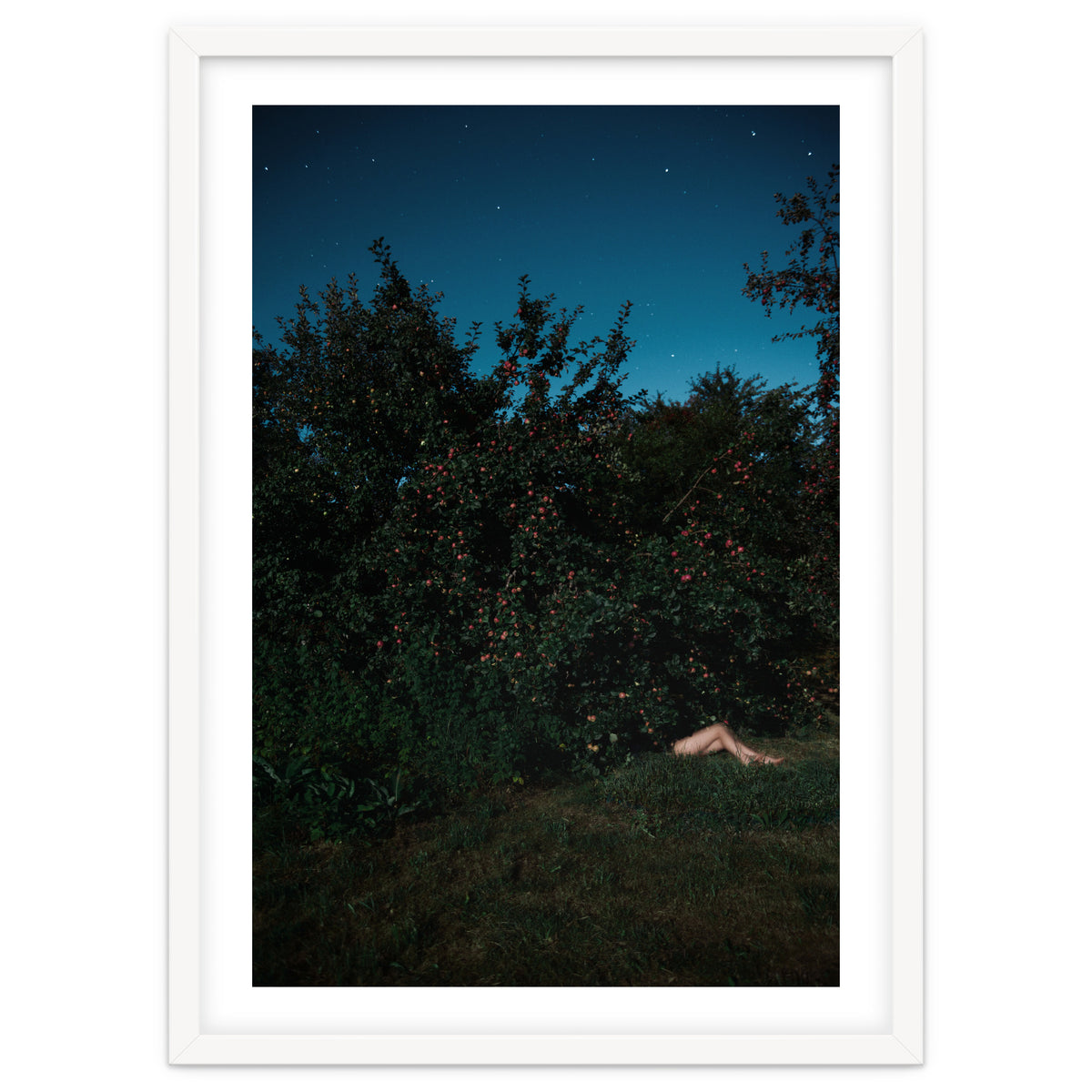 The Cider House Legs