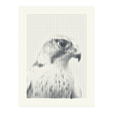 Hawk 2018 (Print Only) thumbnail