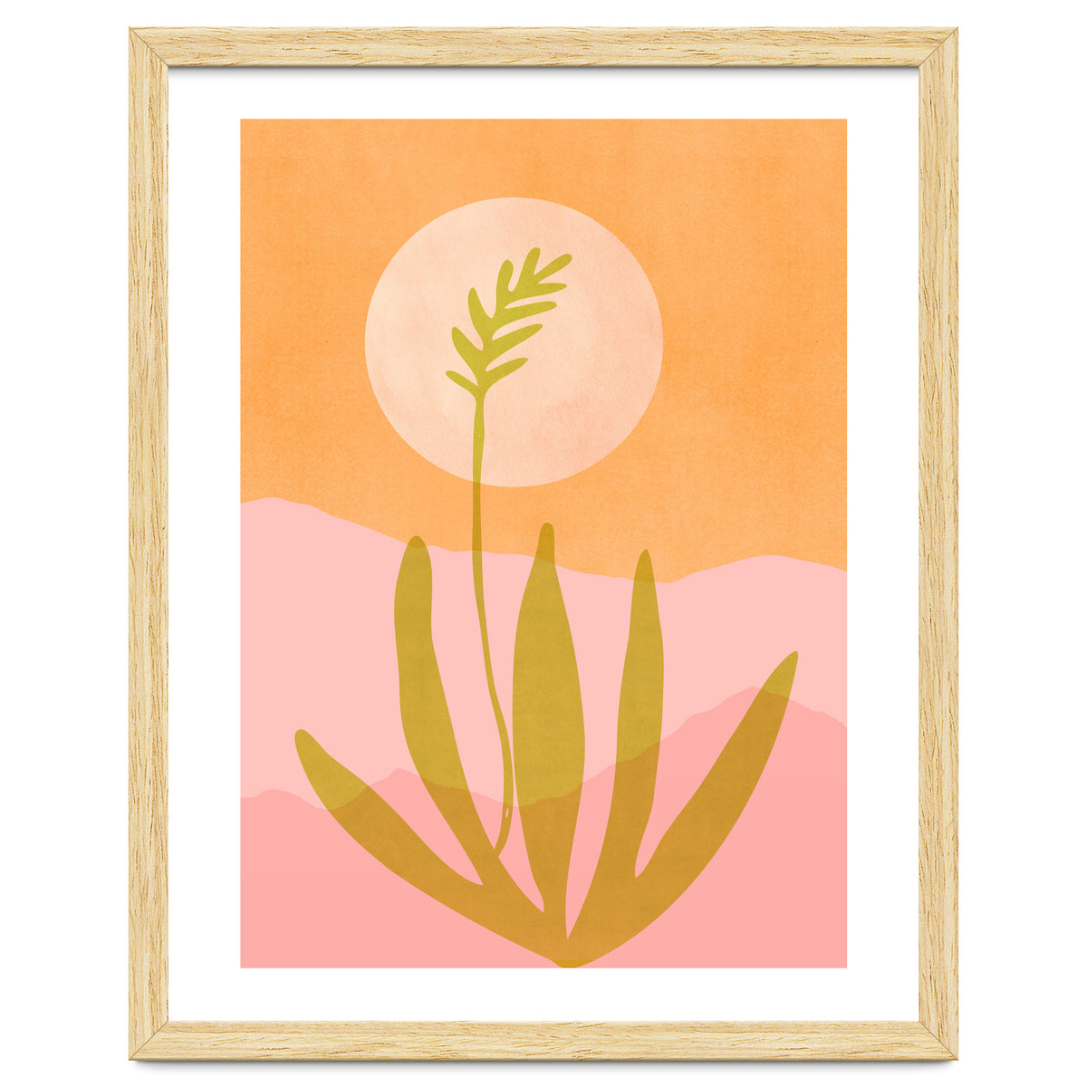 Desert Moon With Agave