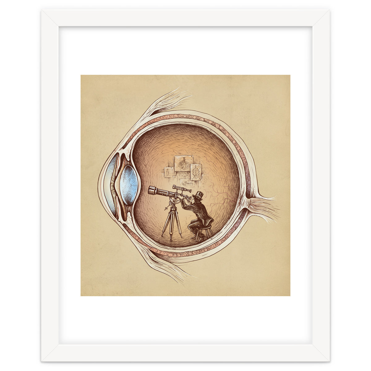 Extraordinary Observer