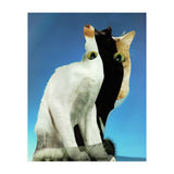 KatzenJammer 13 (Print Only) thumbnail
