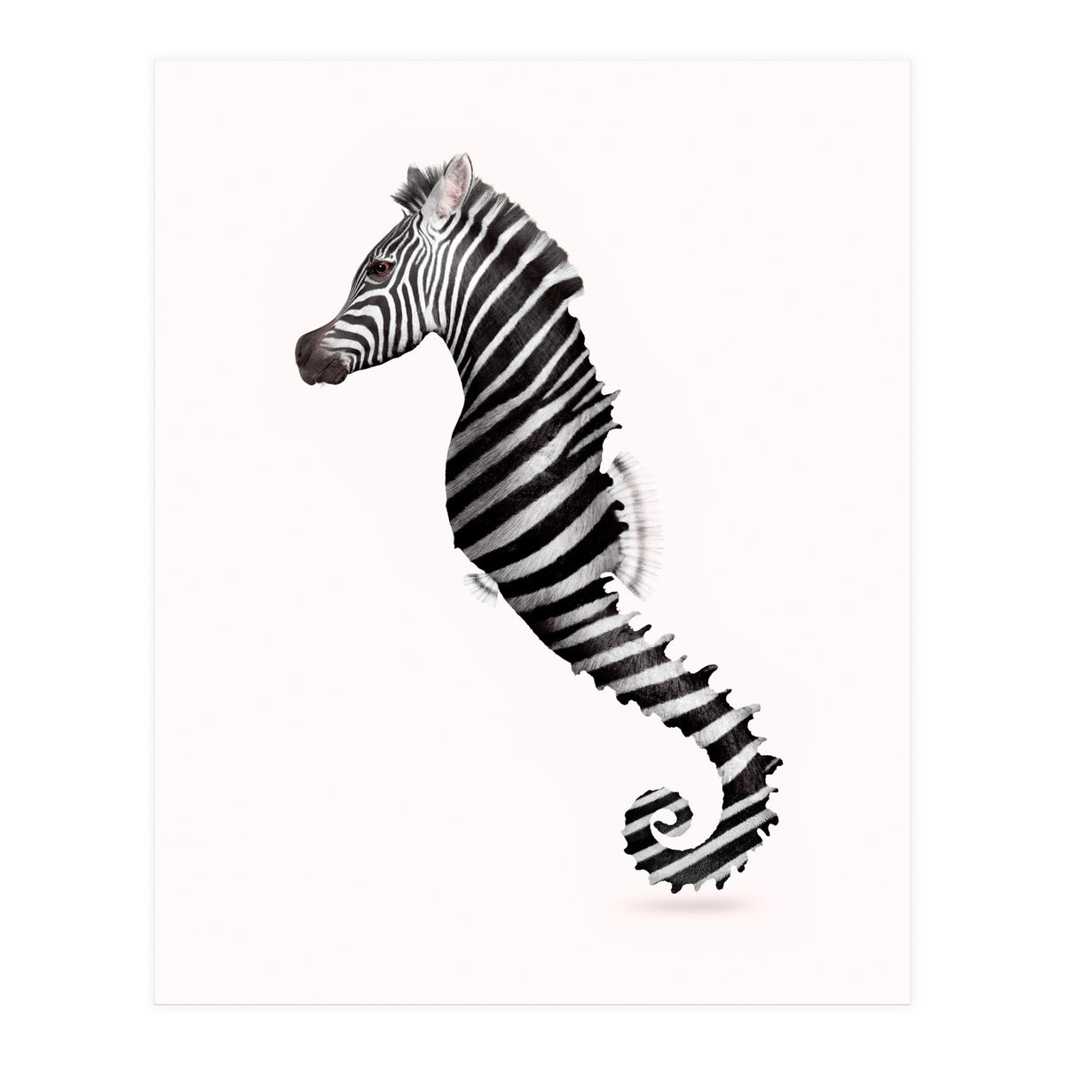 Zeahorse (Print Only)