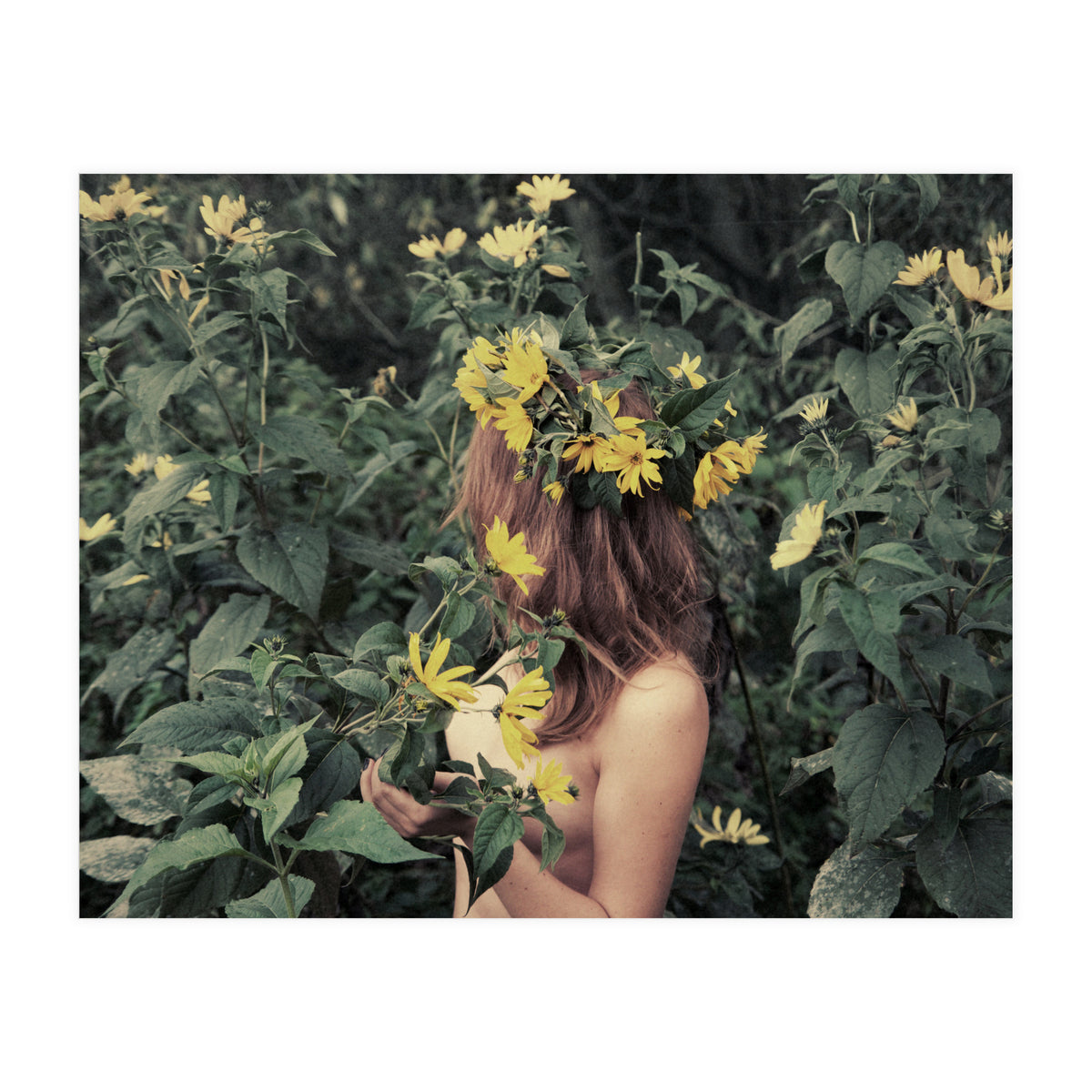 Acid Rain (Print Only)