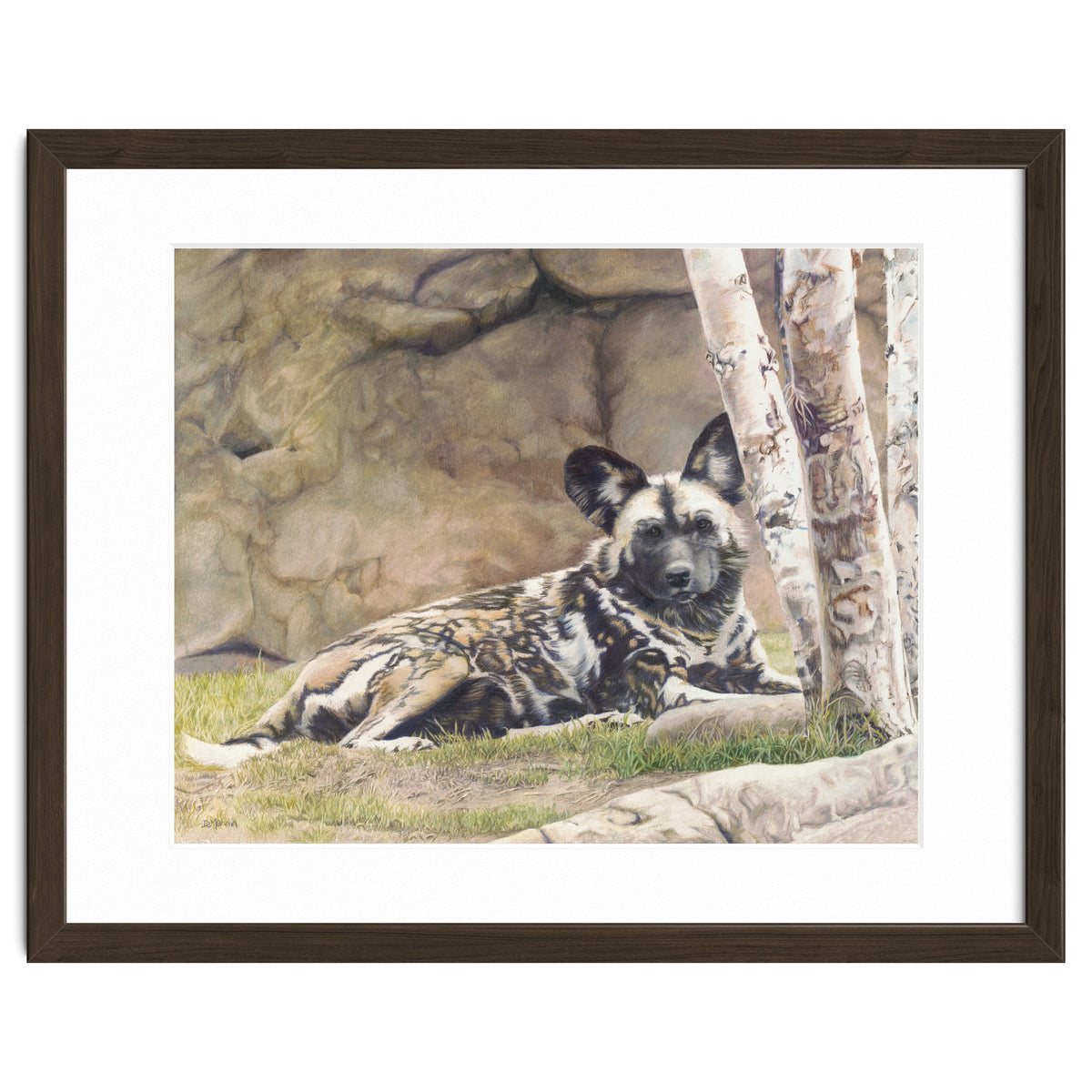 Afican Painted Dog IV - Imara
