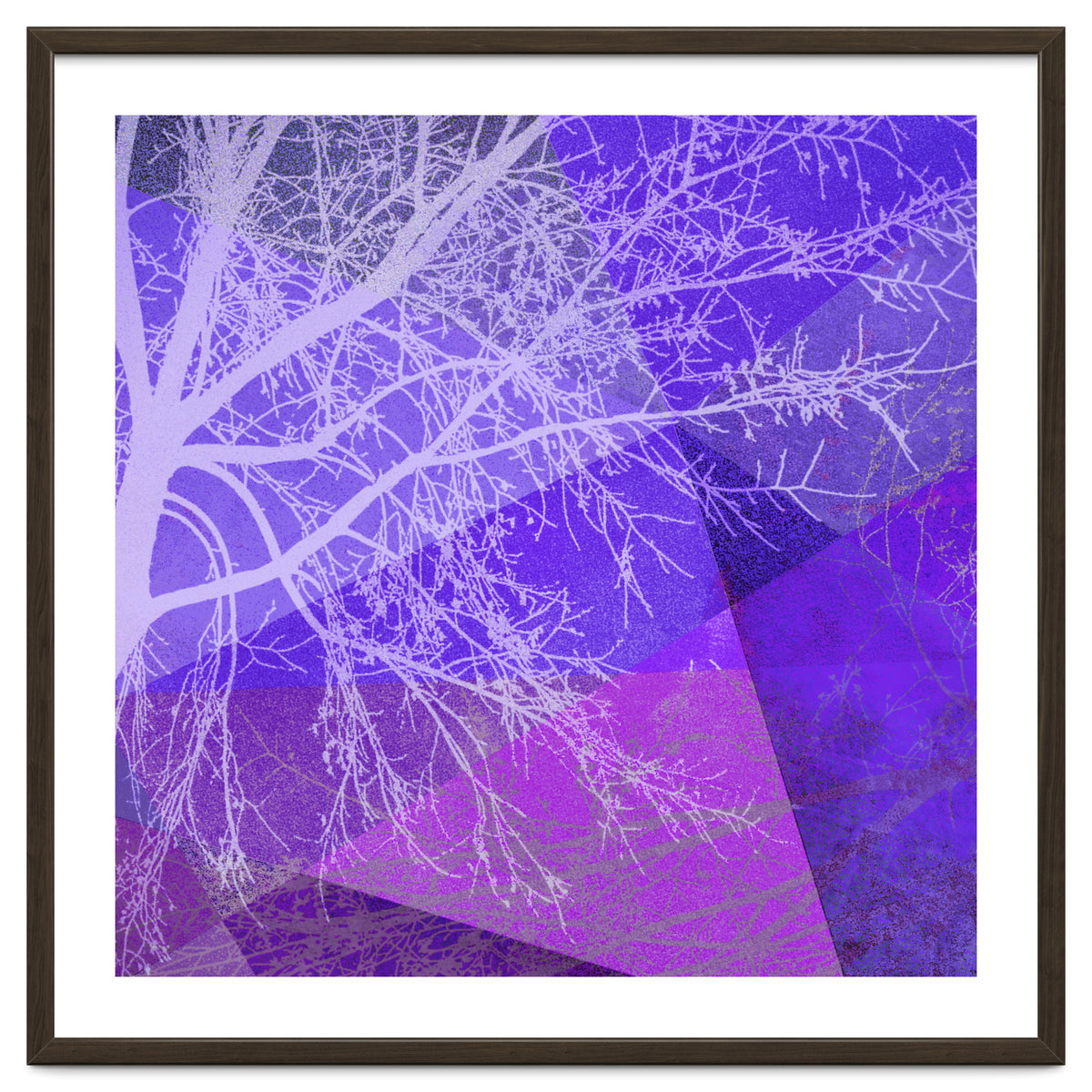 P19-D2 Trees and Triangles