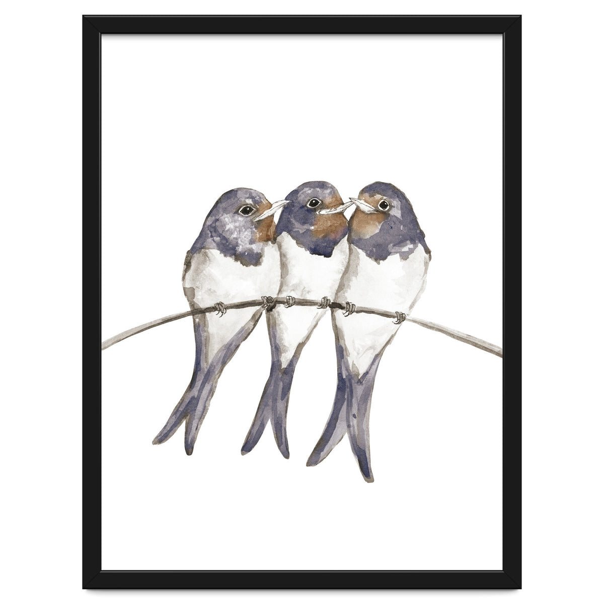 Three young swallows