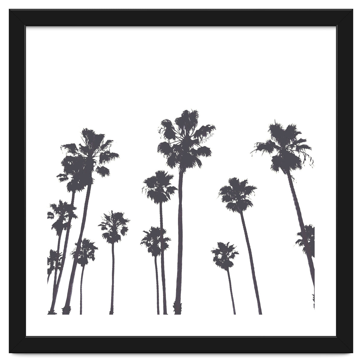 Palms & Sunset-Minimal B&W