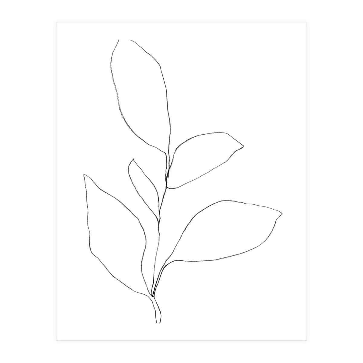 Five Leaf Plant (Print Only)
